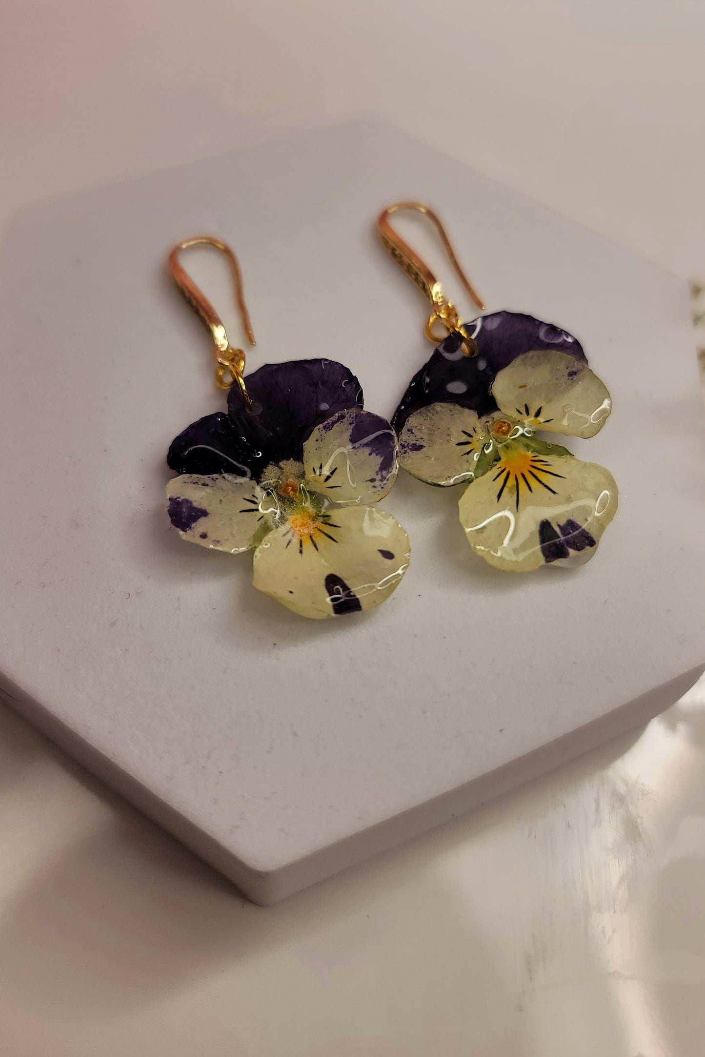Midnight Pansy Blooms