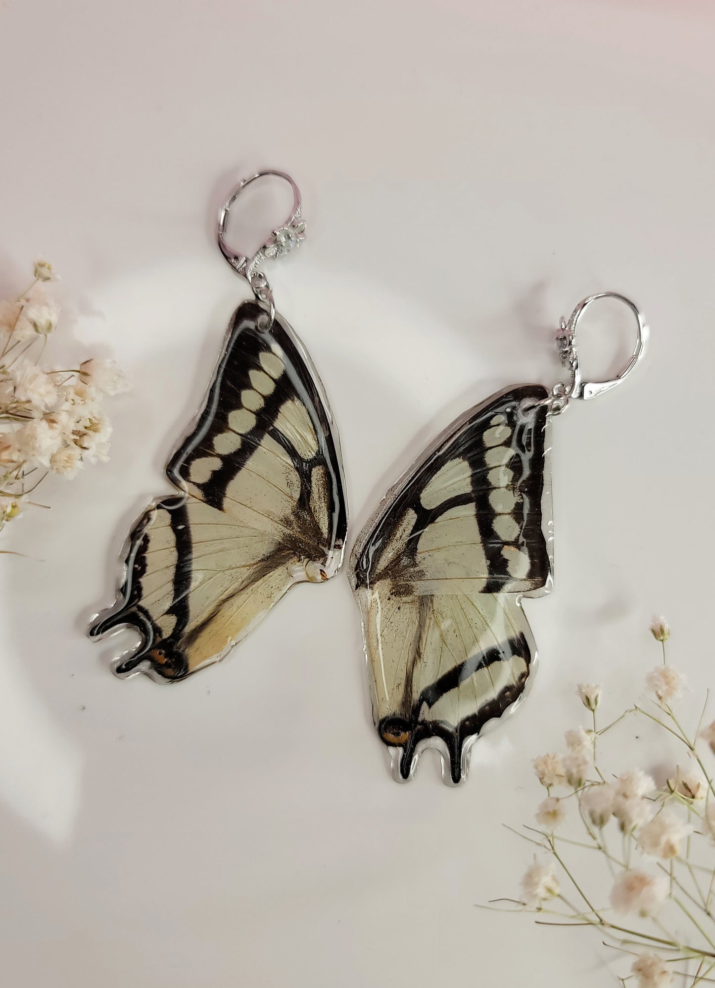 Polyura Butterfly Earrings