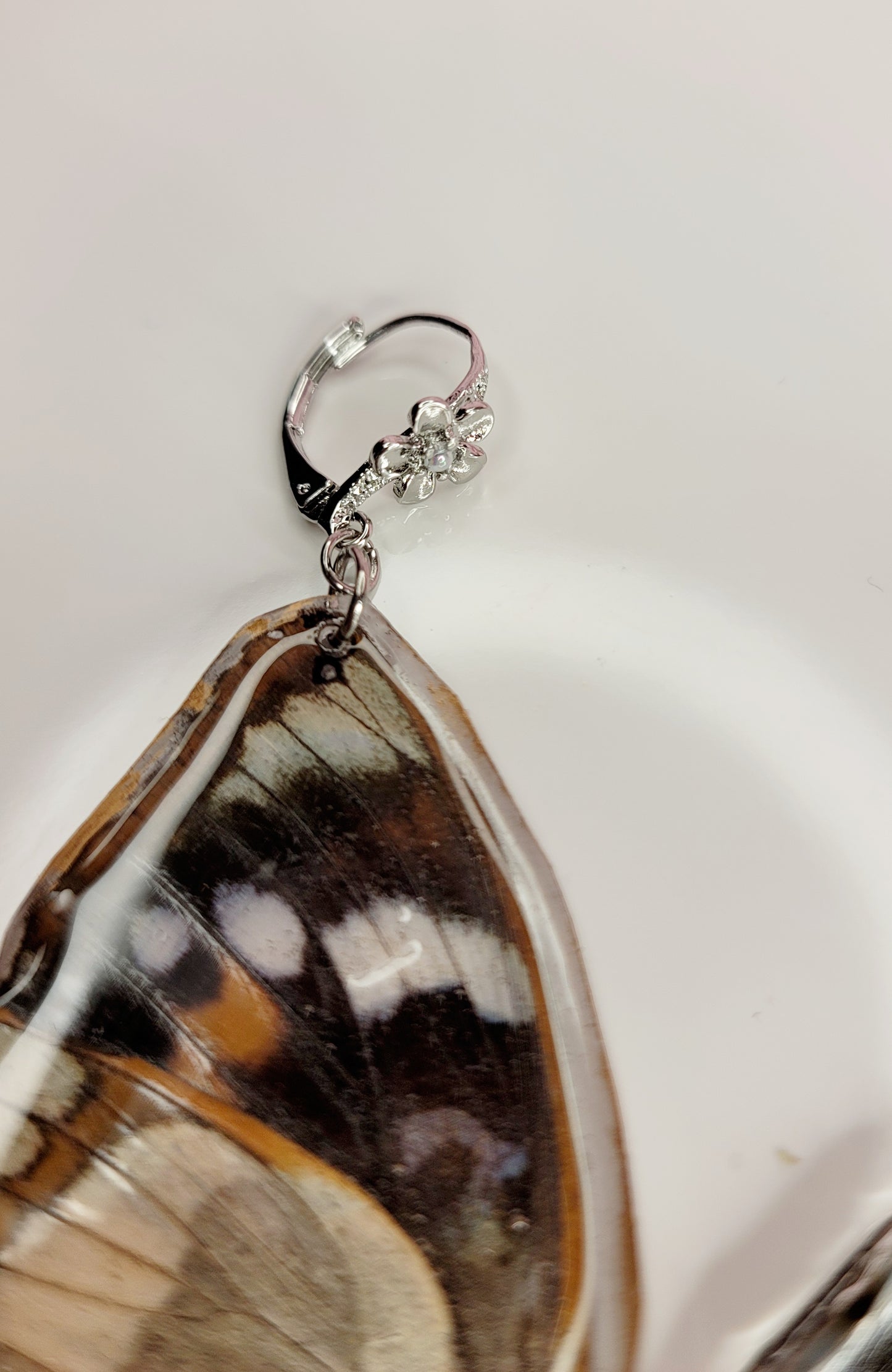 Poplar Admiral Butterfly Earrings