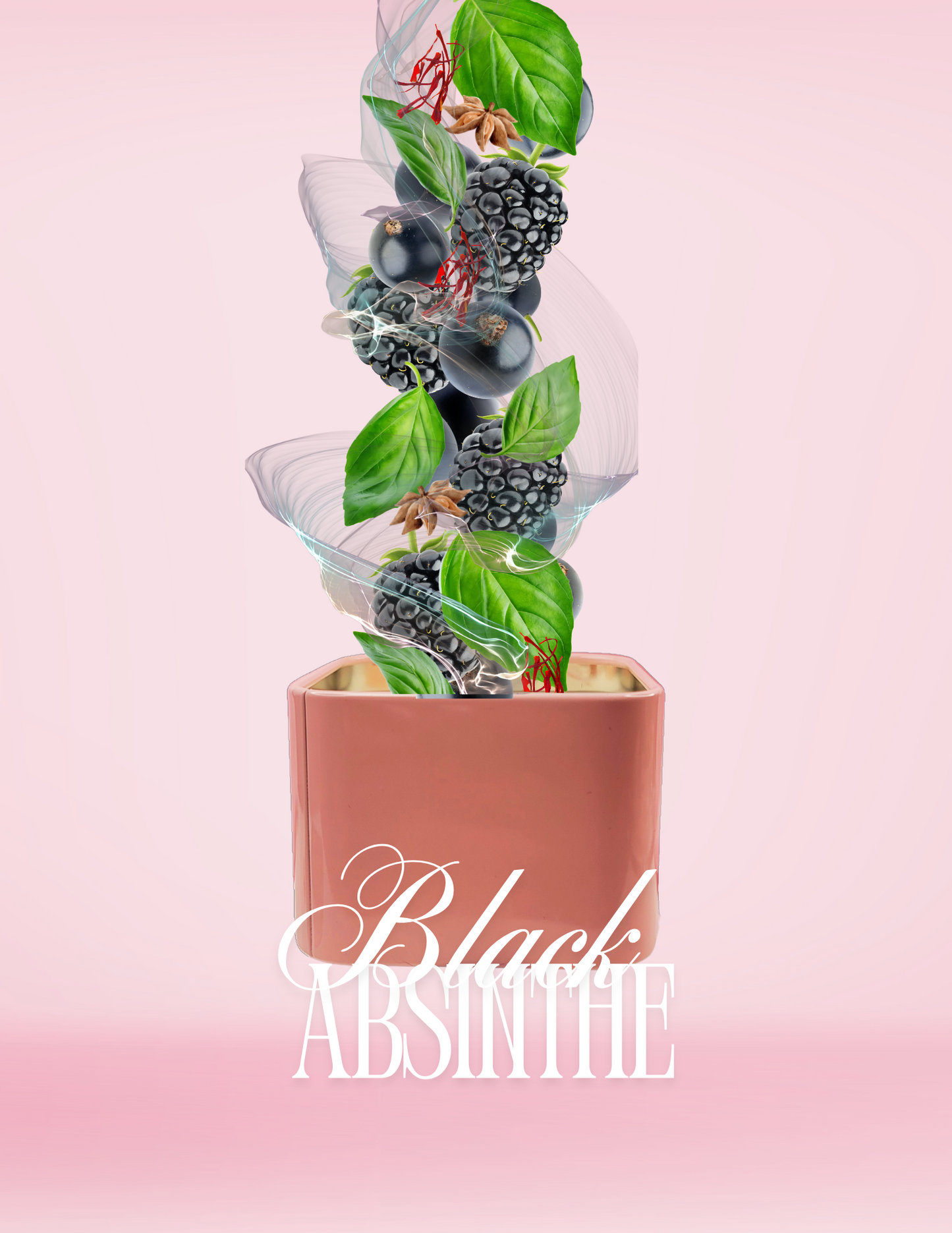 Black Absinthe Pink Tin 6oz