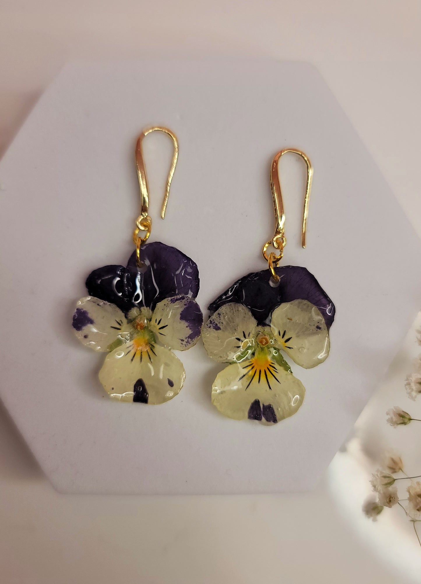 Midnight Pansy Blooms