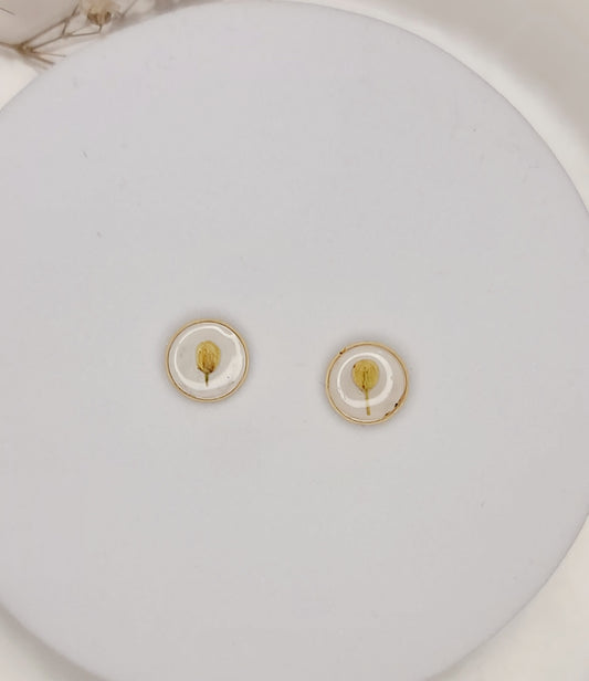 Tiny Golden Baby’s Breath Studs