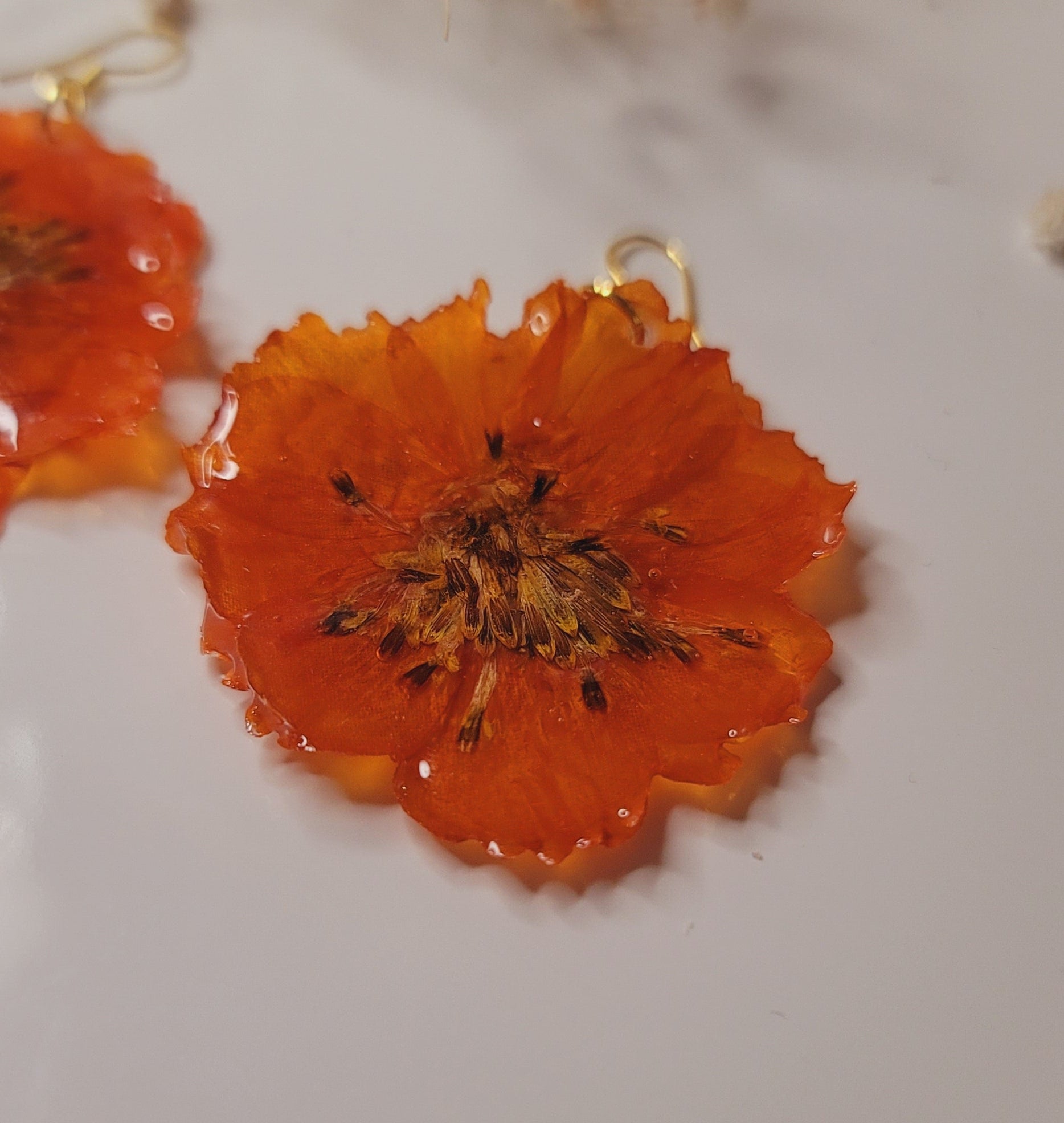 Small orange flower on a white background