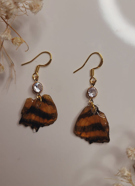 Midnight Honey Wings