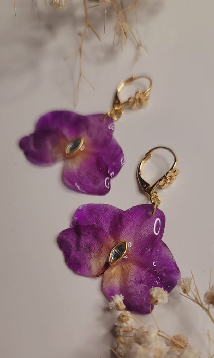 Imperial Orchid Bloom