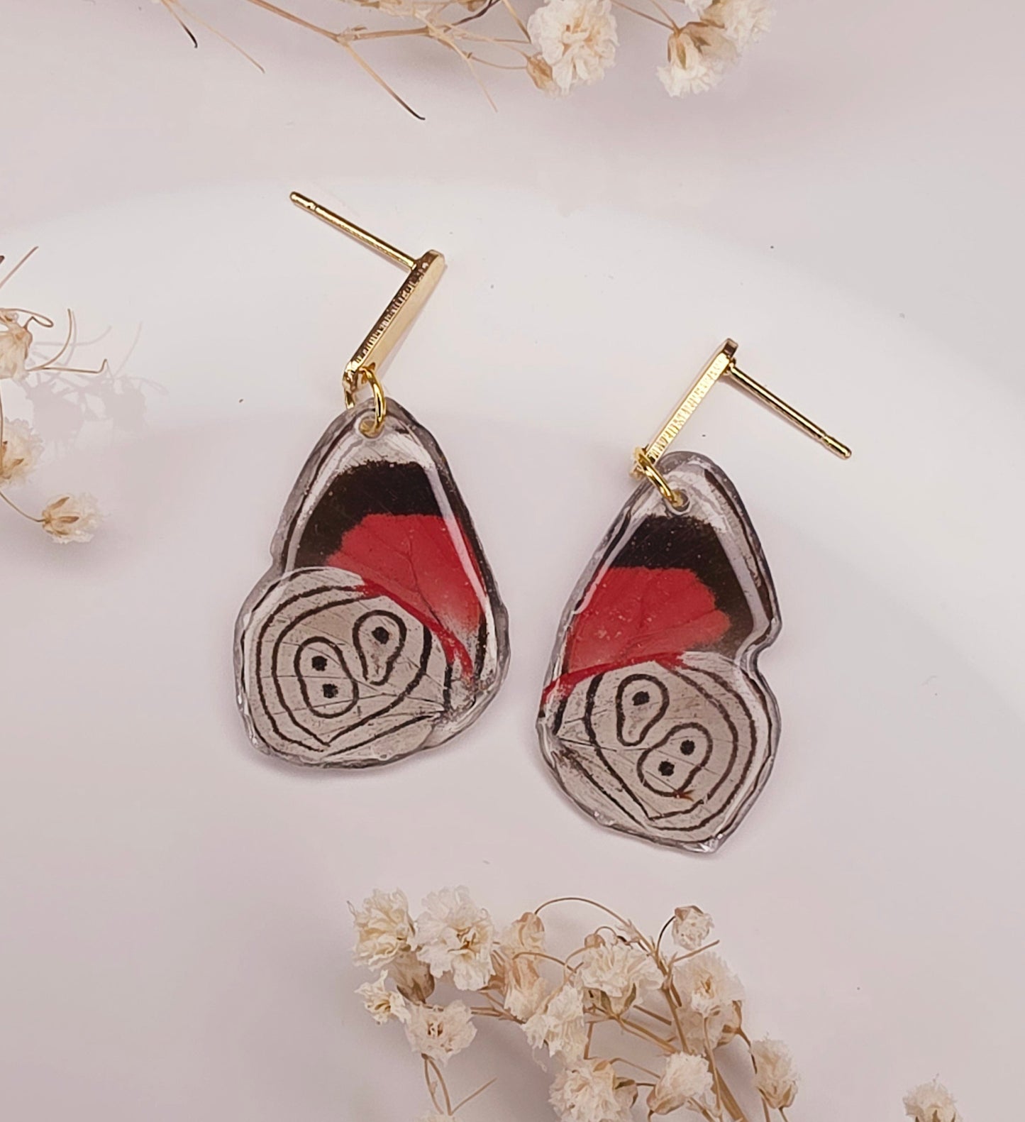 Diaethria Clymena Butterfly Wing Earrings