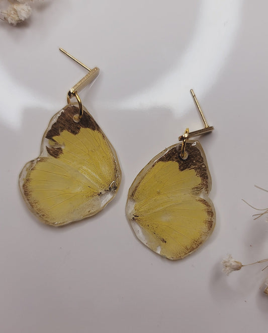Golden Sun Luna Wing Earrings – Real Butterfly Wing Earrings