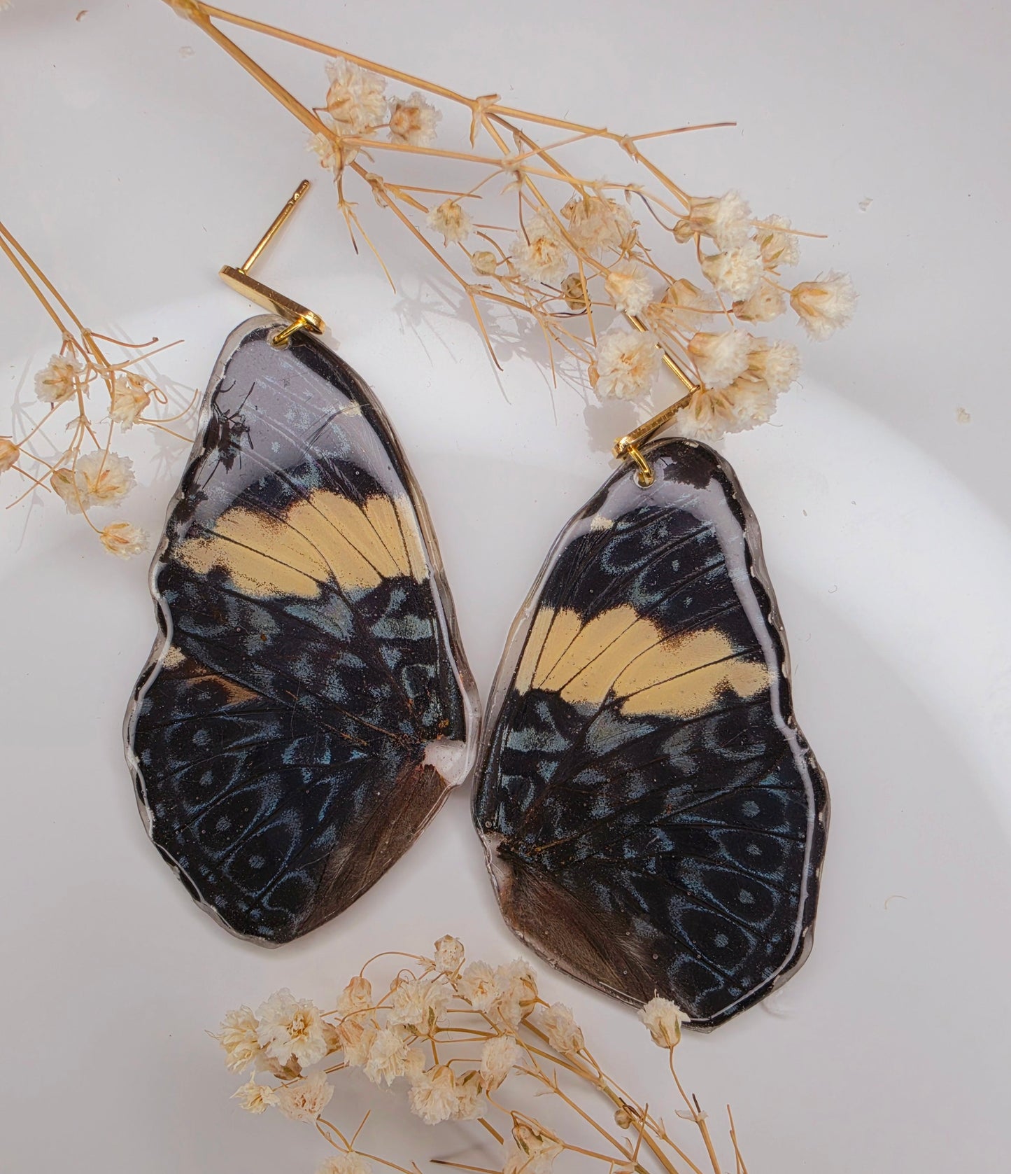 Butterfly wings with blue and yellow patterns on a white background