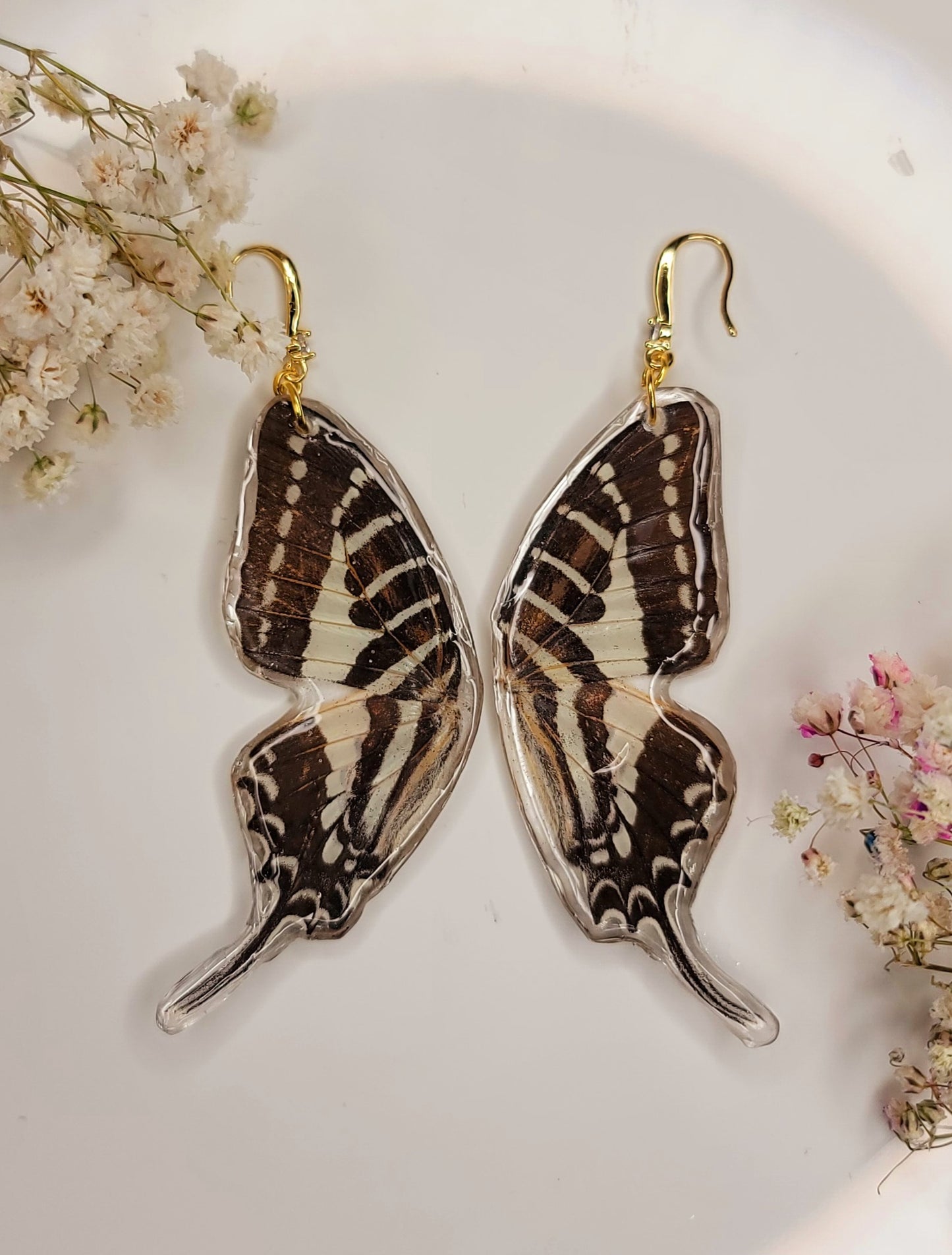 Spot Swallowtail (Graphium Nomius)